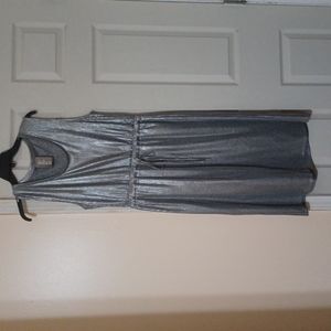 Anthro (Dolan)Silver Midi Length slvlss dress w/slight A Line Skirt